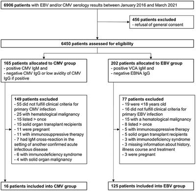 Challenges of Primary Care Medicine in a Tertiary Care Setting—The Case of Primary CMV Infection Compared to Primary EBV Infection: A Retrospective Cohort Study